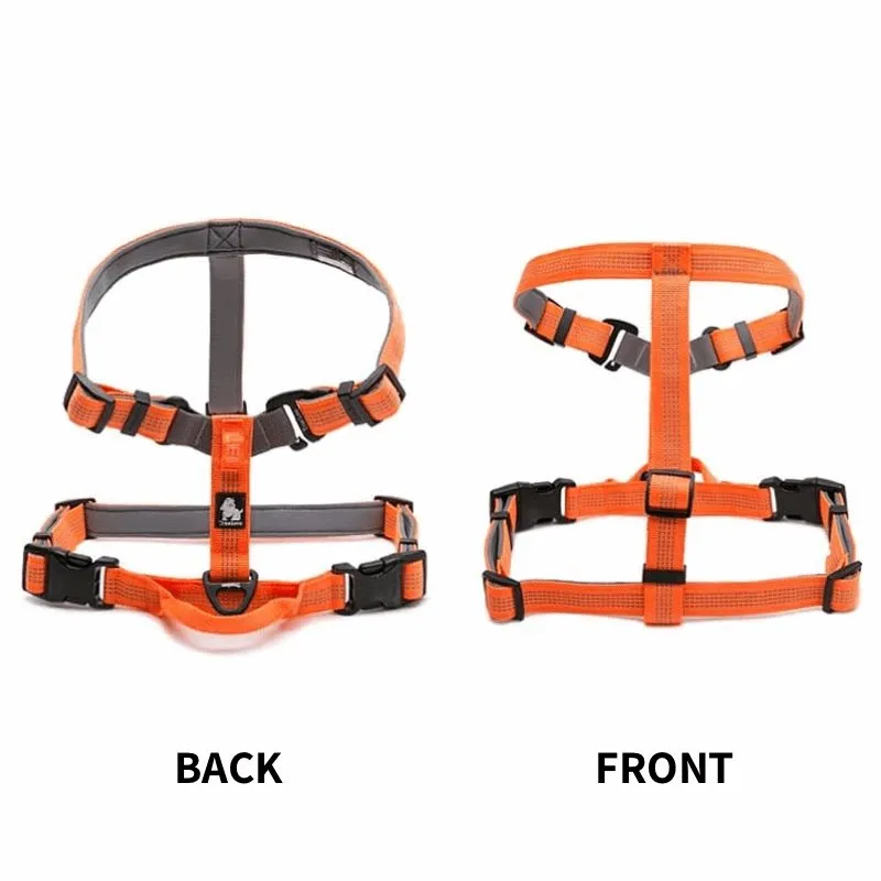 3M Lightweight Webbing Harness