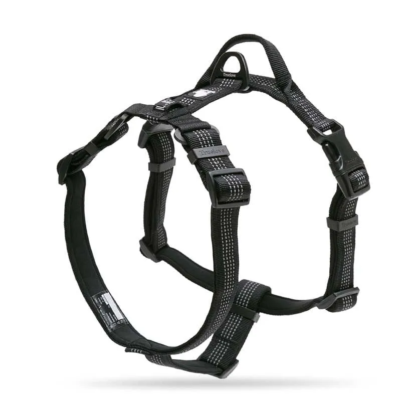 3M Lightweight Webbing Harness