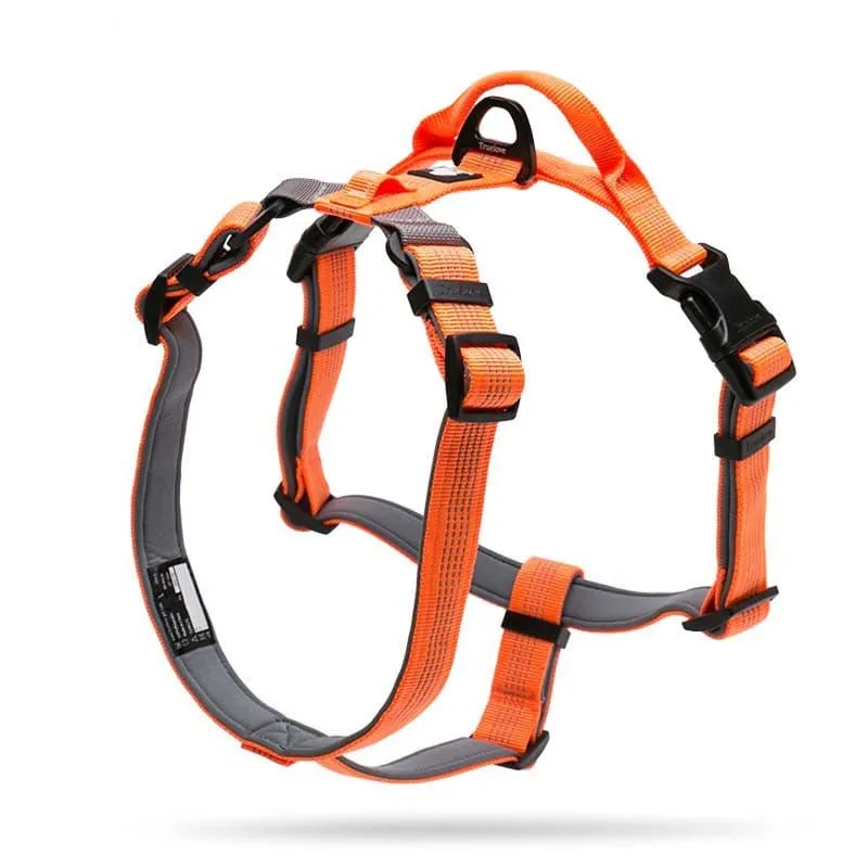 3M Lightweight Webbing Harness