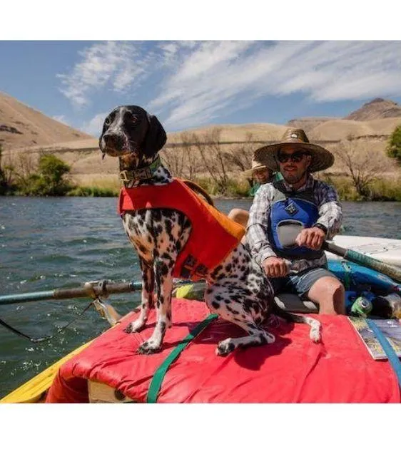 Ruffwear Float Coat™ Dog Life Jacket (Red Sumac)