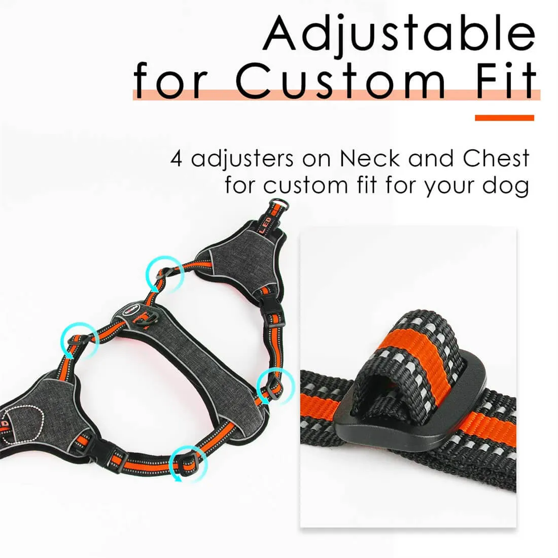 Step-In- Dog Harness - Quick Release Buckles - With Front Clip | ThinkPet